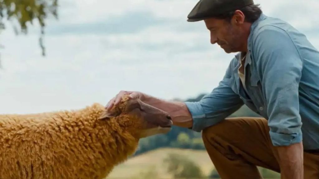 THE SHEEP DETECTIVES